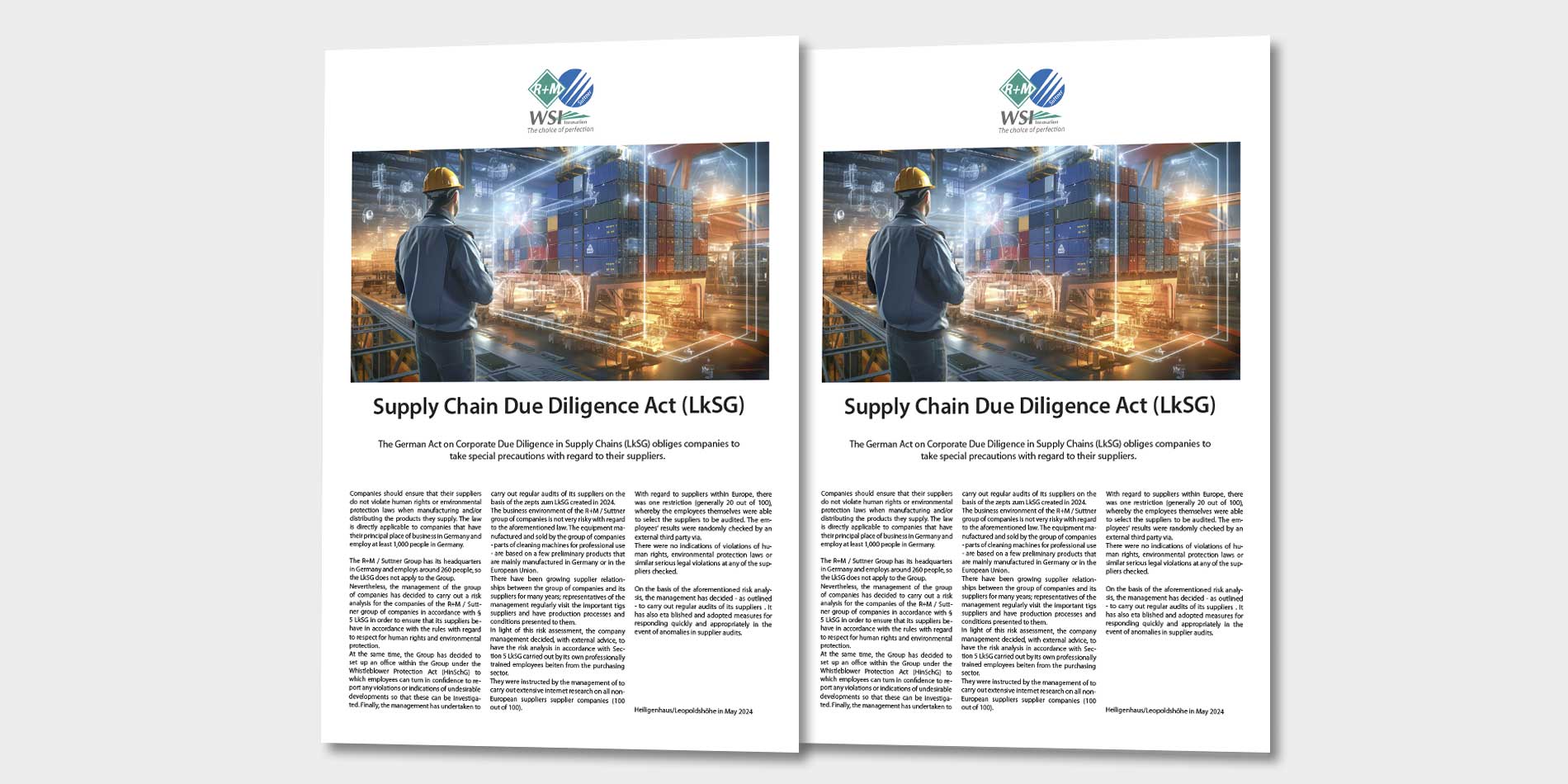 Supply Chain Due Diligence Act (LkSG)